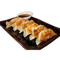 GYOZAS POULET X5